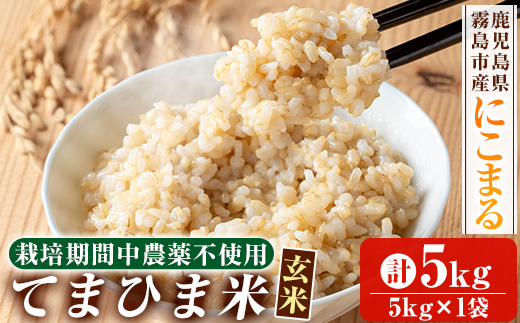 K-391-B 令和7年産 てまひま米・玄米(品種:にこまる)(計5kg)【末蜜農園】霧島市 お米 玄米 米 こめ コメ ご飯 ごはん 定期便 栽培期間中農薬不使用