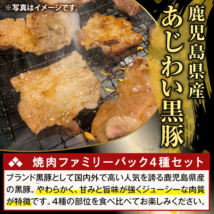 K-370-A かごしま味わい黒豚 焼肉ファミリーパック(合計1.2kg)【ふるさと産直バザール】霧島市 ロース バラ モモ ウデ 焼き肉 ヤキニク 豚肉 国産 鹿児島県産 肉 精肉 小分け セット 食べ比べ