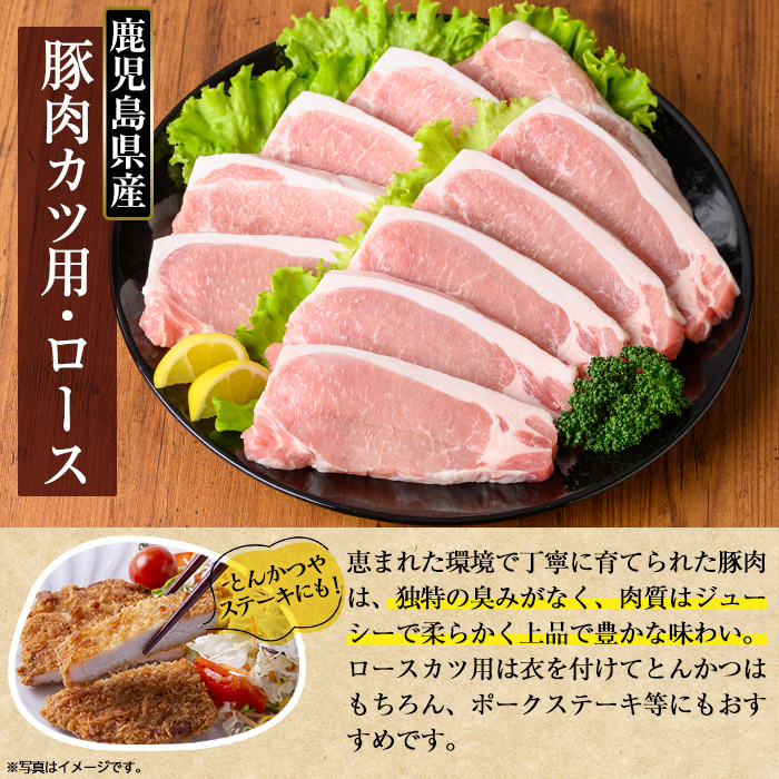 K-310 鹿児島県産 豚肉ロースカツ・ヒレカツ用(合計20枚セット)【TRINITY】霧島市 国産 冷凍 小分け 豚肉 ぶた ブタ 肉 ロース ヒレカツ セット