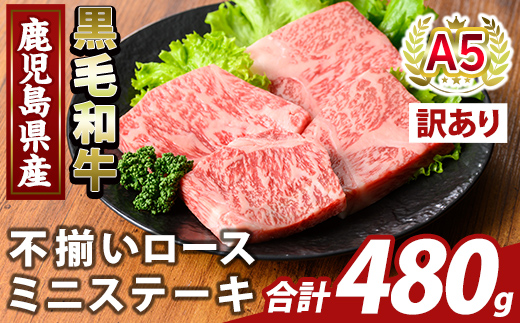 K-479-B ＜訳あり＞鹿児島県産A5等級黒毛和牛不揃いロースミニステーキ(計480g) 【ふるさと産直バザール】霧島市 牛肉 国産 鹿児島県産 赤身肉 不揃い ワケアリ ロース ステーキ 肉 精肉