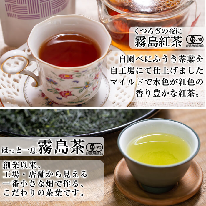 A-181 Tea time in KIRISHIMA(計40P・各10P×4種)【松山産業】