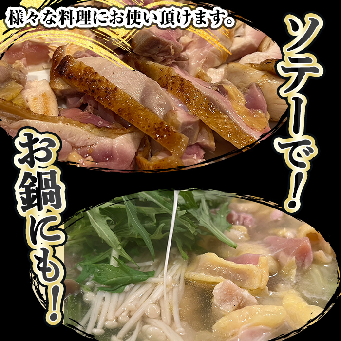 K-419 鮖ソ蜈仙ウカ逵檎肇鮟偵&縺、縺セ鮓 迚ケ驕ク繧ゅb閧(2譫壹サ險700g莉・荳)縲舌ン繝繧ー繝舌シ繝峨サ繧ォ繝斐Μ繝翫 蝗ス逕」 鮓剰i 魑・閧 繝「繝「閧 鮓上b繧りi 閧 縺ィ繧翫↓縺