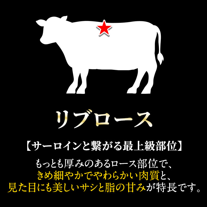 C-080＜数量限定！＞鹿児島県産黒毛和牛リブロース肉600g(A-5等級)【九面屋】