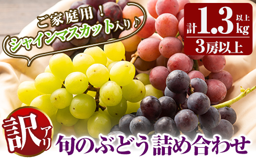 A0-248 ＜期間限定！2024年8月下旬〜10月中旬の間に発送予定＞《訳あり・数量限定》シャインマスカット入り旬のぶどう・ご家庭用詰め合わせ(計1.3kg以上・3房以上)【二月田ぶどう園】