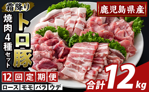 K-379-F ïŒ12åå®æäŸ¿ïŒé¹¿å
å³¶çç£ééãããè± çŒèçšãã©ãšãã£ã»ãã(èš12kg)ããµãããšç£çŽãã¶ãŒã«ãé§å³¶åž ããŒã¹ ãã© ãŠã ã¢ã¢ çŒãè ã€ãã㯠è±è åœç£ 鹿å
å³¶çç£ è 粟è å°åã ã»ãã é£ã¹æ¯ã¹ å®æäŸ¿