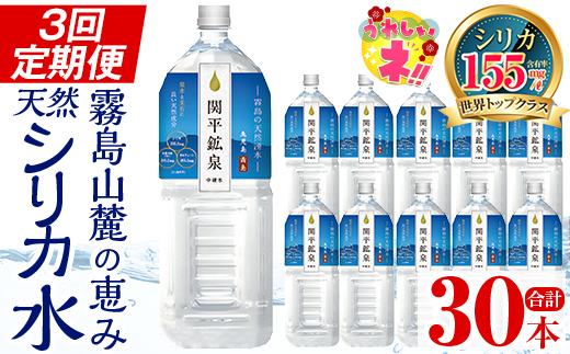 【寄附額改定】 K-187 ＜定期便・全3回＞関平鉱泉水2Lペットボトル×10本ずつお届け(計30本)【関平鉱泉所】霧島市 水 2l ミネラルウォーター 温泉水 シリカ シリカ水 ミネラル成分 飲料水 2リットル 水2リットル 定期便
