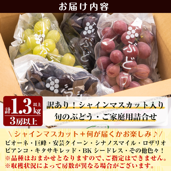 A0-248 ＜期間限定！2024年8月下旬〜10月中旬の間に発送予定＞《訳あり・数量限定》シャインマスカット入り旬のぶどう・ご家庭用詰め合わせ(計1.3kg以上・3房以上)【二月田ぶどう園】