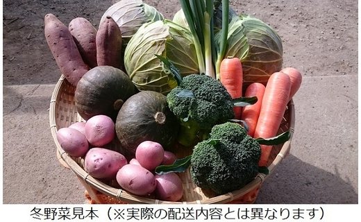 A-091 「極野菜」旬の極上お野菜セット【百姓道有元農場】