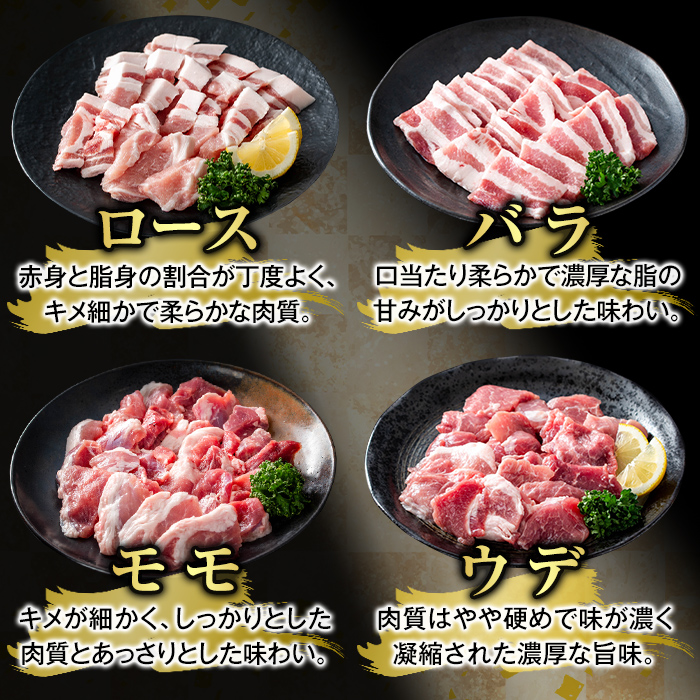 K-370-A かごしま味わい黒豚 焼肉ファミリーパック(合計1.2kg)【ふるさと産直バザール】霧島市 ロース バラ モモ ウデ 焼き肉 ヤキニク 豚肉 国産 鹿児島県産 肉 精肉 小分け セット 食べ比べ