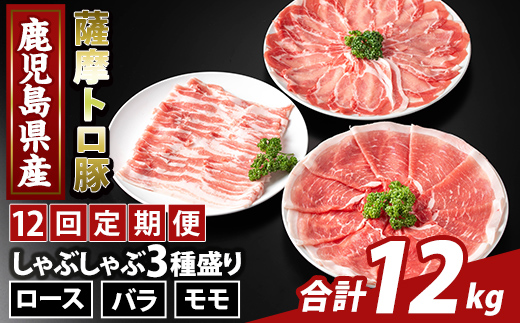 K-470-G ïŒ12åå®æäŸ¿ïŒé¹¿å
å³¶çç£ è©æ©ããè±ããã¶ããã¶3çš®çã(èš12kg)ããµãããšç£çŽãã¶ãŒã«ãé§å³¶åž ããŒã¹ ãã© ã¢ã¢ åœç£ 鹿å
å³¶çç£ è 粟è å®æäŸ¿