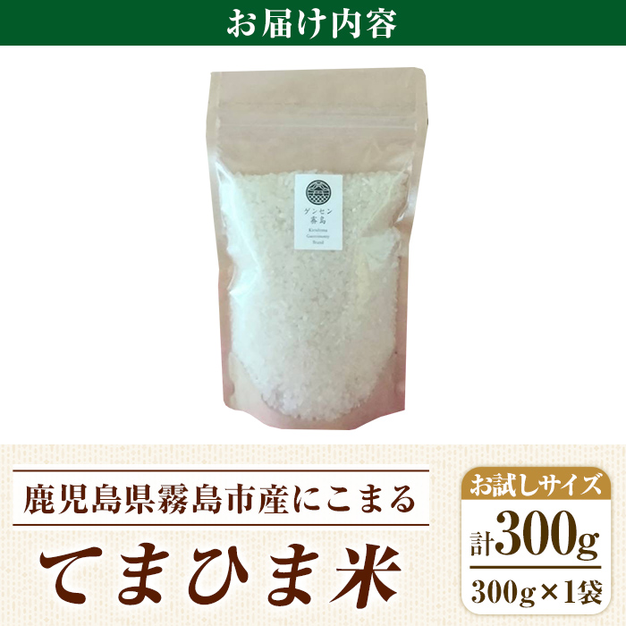 K-198-A 《令和5年産》てまひま米(品種:にこまる)(計300g：300g×1袋)【末蜜農園】霧島市 お米 精米 白米 米 こめ コメ ご飯 ごはん 栽培期間中農薬不使用