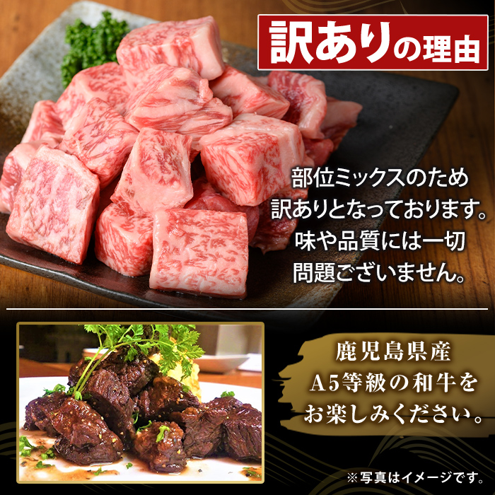 K-475-A ïŒèš³ããïŒé¹¿å
å³¶çç£é»æ¯åçA5ççŽãµã€ã³ãã¹ããŒã(èš400g) ããµãããšç£çŽãã¶ãŒã«ãé§å³¶åž äžæã ãµã€ã³ã ã¹ããŒã çè åœç£ 鹿å
å³¶çç£ è 粟è