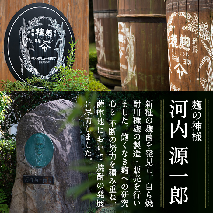 A2-025-A 国産！麹屋が作る本格派甘酒カレー(200g×5箱)【河内菌本舗】霧島市 国産 黒麹 麹 こうじ カレー レトルト 惣菜