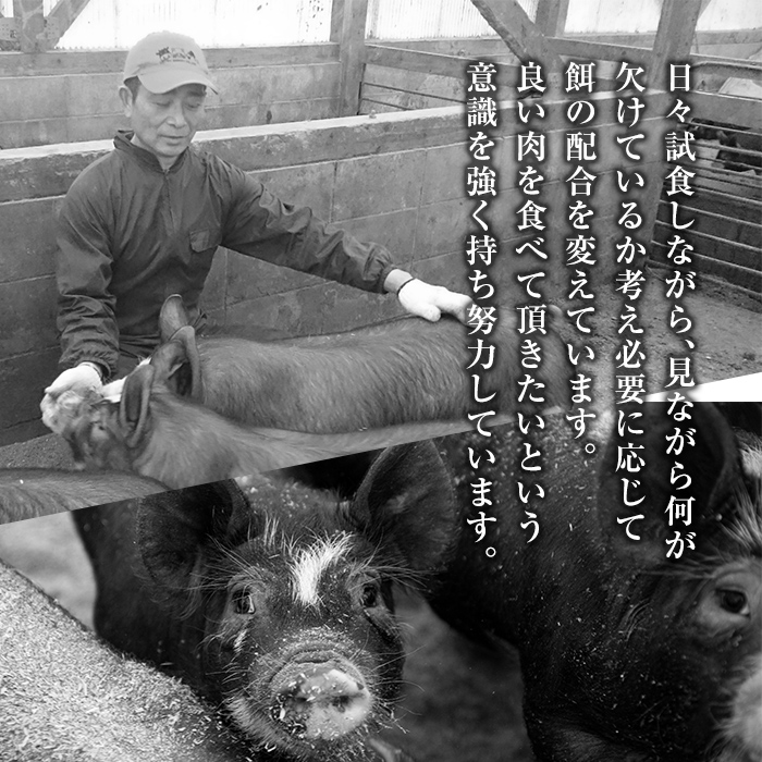 A0-288 あれこれ食べたい鹿児島黒豚カツセット合計1kg【米平種豚場ふくふく黒豚の里】