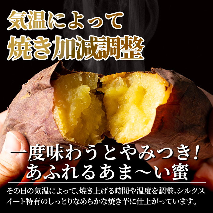 A0-338 ＜先行予約受付中！2024年11月以降順次発送＞薩摩あま蜜完熟焼き芋＜シルクスイート＞2kg【フレッシュジャパン鹿児島】