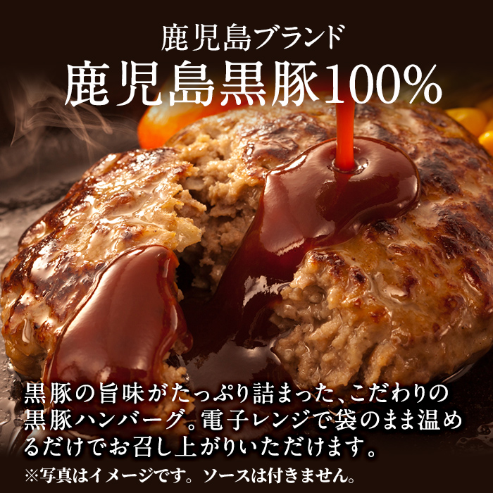 鹿児島黒豚ハンバーグ(100g×6個)【九面屋】