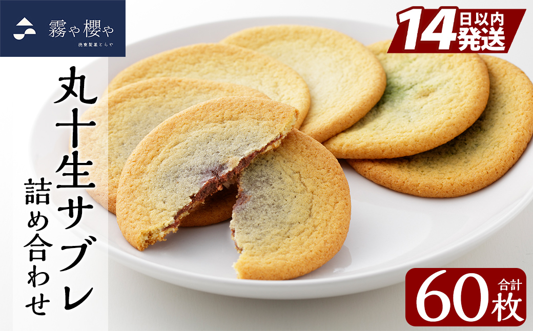 C-086-B 丸十生サブレ詰め合わせ(12枚入×5箱 計60枚)【徳重製菓とらや】霧島市 生サブレ サブレ しっとり なめらか マイルド お菓子 焼菓子 おやつ お土産 贈り物 手土産 チョコレート ホワイトチョコレート 霧島茶チョコレート