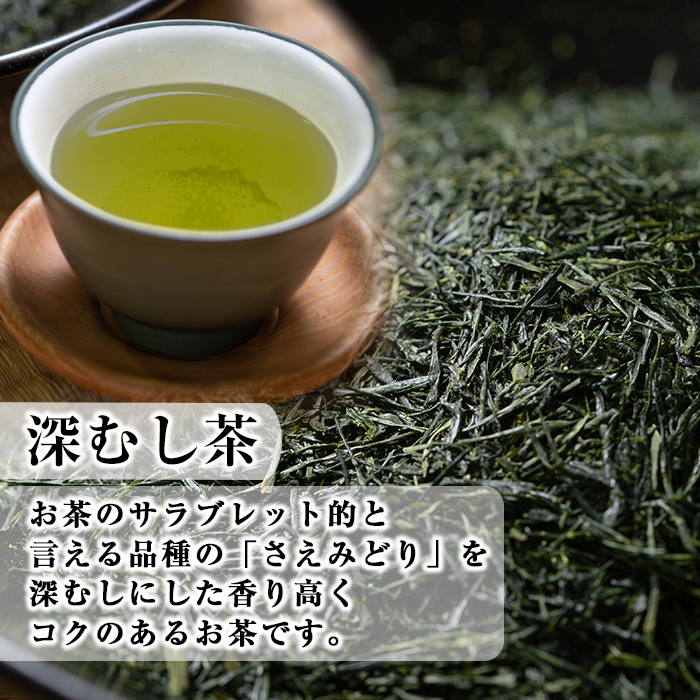 C-016 夢広がるお茶セット(計10本)【松山産業】
