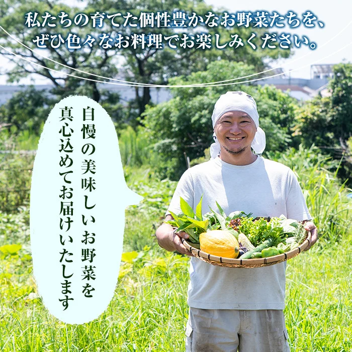 A2-011 霧島産！旬の野菜セット(季節の野菜10品)【有機ファームえん】