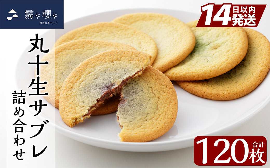 C-086 丸十生サブレ詰め合わせ(12枚入×10箱 計120枚)【徳重製菓とらや】霧島市 生サブレ サブレ しっとり なめらか マイルド お菓子 焼菓子 おやつ お土産 贈り物 手土産 チョコレート ホワイトチョコレート 霧島茶チョコレート