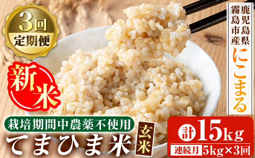 K-391-E 【3回定期便】令和7年産新米 てまひま米・玄米(品種:にこまる)(計15kg：5kg×3回)【末蜜農園】霧島市 お米 玄米 米 こめ コメ ご飯 ごはん 定期便 栽培期間中農薬不使用