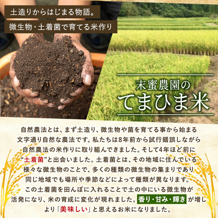 K-391-A 《令和6年産・新米》てまひま米・玄米(品種：にこまる)(計300g：300g×1袋)【末蜜農園】 霧島市 お米 玄米 米 こめ コメ ご飯 ごはん 定期便 栽培期間中農薬不使用