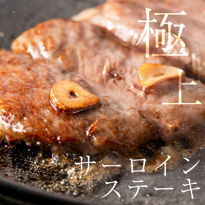 C-013 ＜Ａ５ランク＞黒毛和牛ステーキ計約500g(250g×2枚)※北海道・沖縄配送不可※【今肉屋】 国産 黒毛和牛 鹿児島県産 肉 牛肉 A5等級 サーロイン ステーキ肉 30000