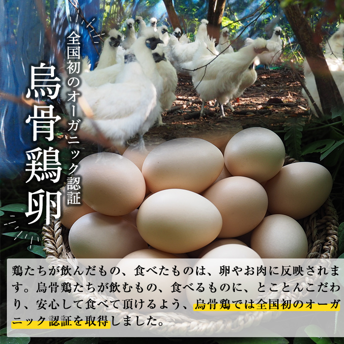 K-331-B ＜12回定期便＞オーガニック烏骨鶏卵「霧島烏骨鶏」(計144個・6個入×2箱 12回)【お多福たまご】有機JAS 放し飼い自然卵 霧島市 国産 九州産 鹿児島県産 たまご 卵 鶏卵 烏骨鶏 うこっけい 朝食 定期便