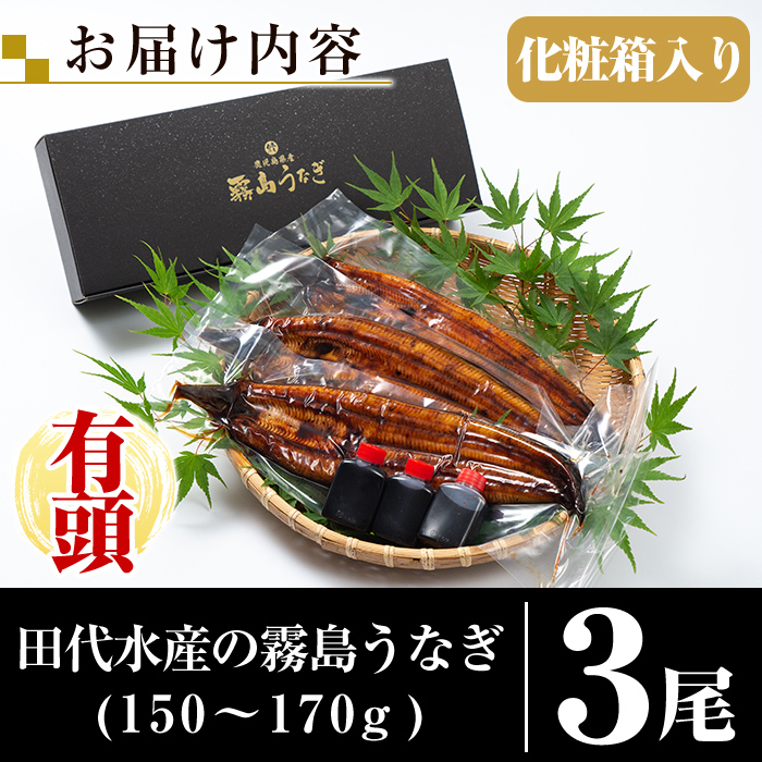 K-715 霧島市育ちのあの「うなぎ」150～170g×3尾！【田代水産】霧島市 鰻 ウナギ 蒲焼き 蒲焼 国産