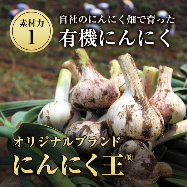 K-123 伝統にんにく卵黄・極(1袋31粒入)【健康家族】霧島市 健康食品 サプリ 栄養補助食品 GABA DHA 機能性表示食品