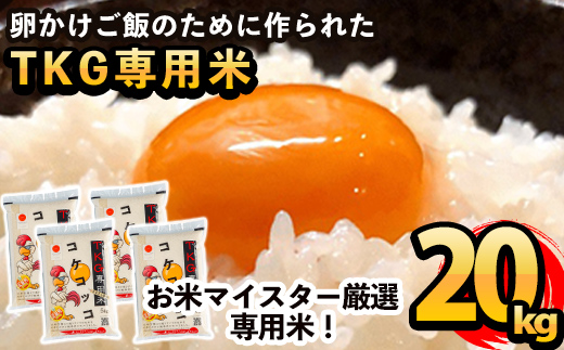 D-052 卵かけご飯専用米!コケコッコ(TKG専用米)計20kg(5kg×4パック)【山口米店】