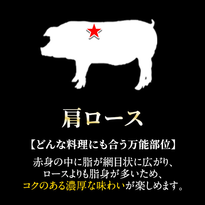 B-113 鹿児島黒豚しゃぶしゃぶ詰合せ(ロース肉・バラ肉・こだわりのスープの素・ラーメン付)【九面屋】