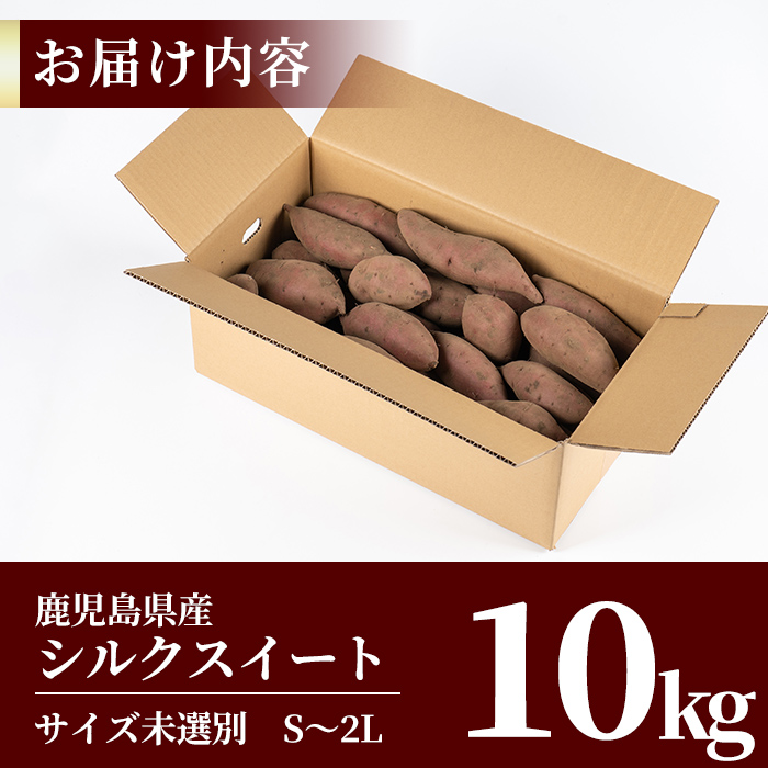 A2-028 ＜先行予約受付中！2024年10月中旬以降順次発送＞鹿児島県産＜シルクスイート＞土付き(10kg)【フレッシュジャパン鹿児島】