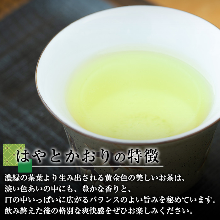 D-055 霧島茶はやとかおり雅12本セット【マル竹園製茶】