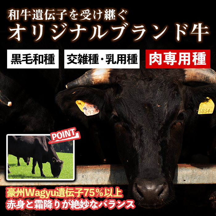 A5-002 鹿児島県産上村牛＆南国スイート豚焼肉セット(計700g)【カミチク】