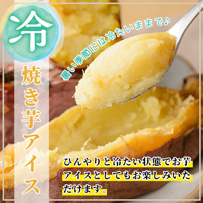 A0-338 ＜先行予約受付中！2024年11月以降順次発送＞薩摩あま蜜完熟焼き芋＜シルクスイート＞2kg【フレッシュジャパン鹿児島】