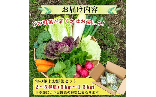 A-091 「極野菜」旬の極上お野菜セット【百姓道有元農場】