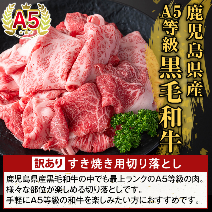 K-472-C ＜訳あり＞鹿児島県産A5等級黒毛和牛すき焼き用切り落とし(計1.35kg)【ふるさと産直バザール】霧島市 部位ミックス 切落し 牛肉 国産 鹿児島県産 肉 精肉 ワケアリ