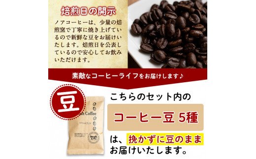 A-165 ＜挽かずに豆の状態でお届け＞珈琲豆100g×5種詰め合わせ【ノア・コーヒー】