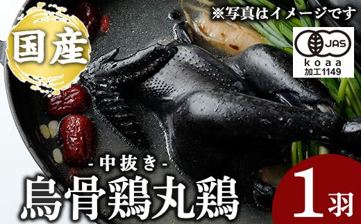 K-333 国産！オーガニック烏骨鶏丸鶏(中抜き)1羽【お多福たまご】霧島市 国産 九州産 鹿児島県産 烏骨鶏 うこっけい 鶏肉 鳥肉 鶏 とり 丸どり 無投薬 無投薬飼育 抗生物質不使用 ワクチン不使用 ワクチンフリー オーガニックチキン