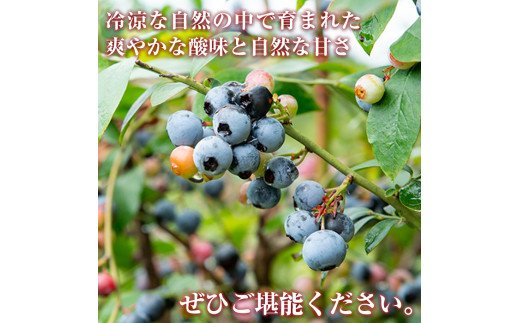 A-041 ブルーベリージュース・ジャムセット【ふきのとう】