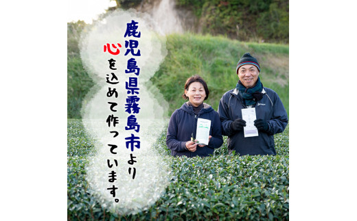 C-016 夢広がるお茶セット(計10本)【松山産業】