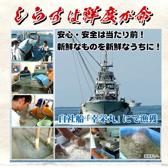 ＜定期便・全5回＞鹿児島県産「網元の天日干しちりめん(計600g・200g×3袋×5回)漁師直送だから新鮮！国産 しらす シラス じゃこ 直送 魚 魚介類 さかな 小魚 カルシウム 定期便 【大久保水産】【00-007-03-TK】