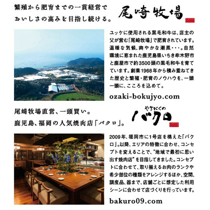 鹿児島県産黒毛和牛 ＜A4等級以上＞サーロインステーキ・特選ロース焼肉用 (2種・合計800g) 牛肉 肉 黒毛和牛 国産 国産牛 九州 鹿児島 鹿児島県産 サーロイン ステーキ ロース ロース肉 焼肉 焼き肉 A4等級以上 冷凍 ギフト【バクロ】【00-030-35】