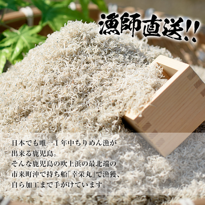 ＜定期便・全5回＞鹿児島県産「網元の天日干しちりめん(計600g・200g×3袋×5回)漁師直送だから新鮮！国産 しらす シラス じゃこ 直送 魚 魚介類 さかな 小魚 カルシウム 定期便 【大久保水産】【00-007-03-TK】