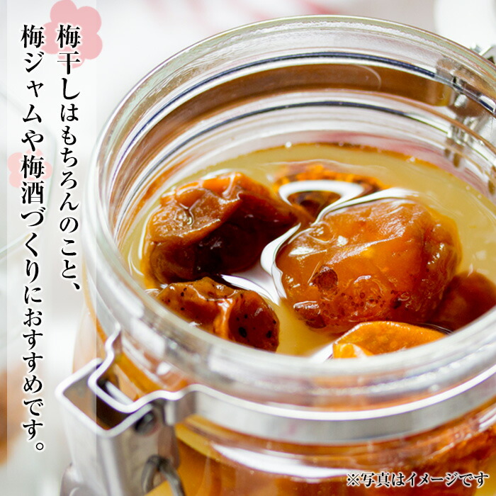 ＜先行予約受付中！2026年5月下旬から順次発送予定＞《容量が選べる！》朝日梅園の南高梅 (10kg箱バラ詰め満杯・M～2Lサイズ) 国産 九州産 野菜 南高梅 生梅 青梅 梅の実 うめ ウメ 青果 果物 梅酒 梅干し 梅シロップ 梅ジュース 梅ジャム【朝日梅園】【00-088-03】