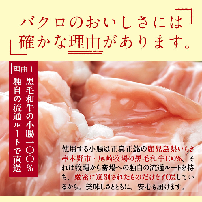 ＜2026年お中元ギフト＞＜数量限定＞鹿児島県産黒毛和牛！もつ鍋＆すき焼きセット (もつ鍋味噌味：2～3人前 / ロースすき焼き用：400g×1P) 黒毛和牛 小腸 ホルモン 牛肉 肉 もつ 鍋 すきやき ロース肉 リブロース 肩ロース セット 冷凍【バクロ】【00-030-14-R8OC】