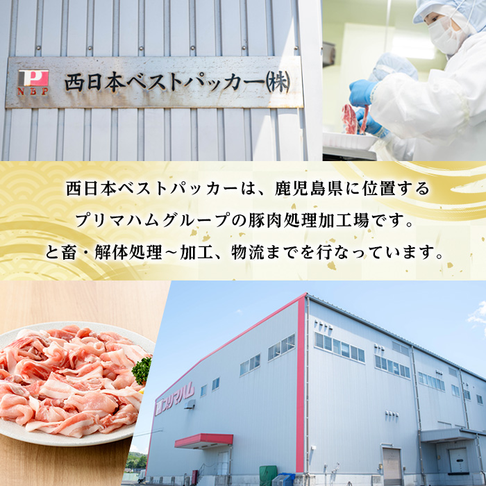 鹿児島県産豚こまぎれ＜真空パック＞ (250g×10P・計2.5kg) 豚 豚肉 肉 鹿児島 白豚 切り落とし 小間切れ こま切れ こまぎれ 炒め物 カレー 詰合せ 詰め合わせ 小分け 冷凍 真空 真空包装【西日本ベストパッカー】【A-1984H】