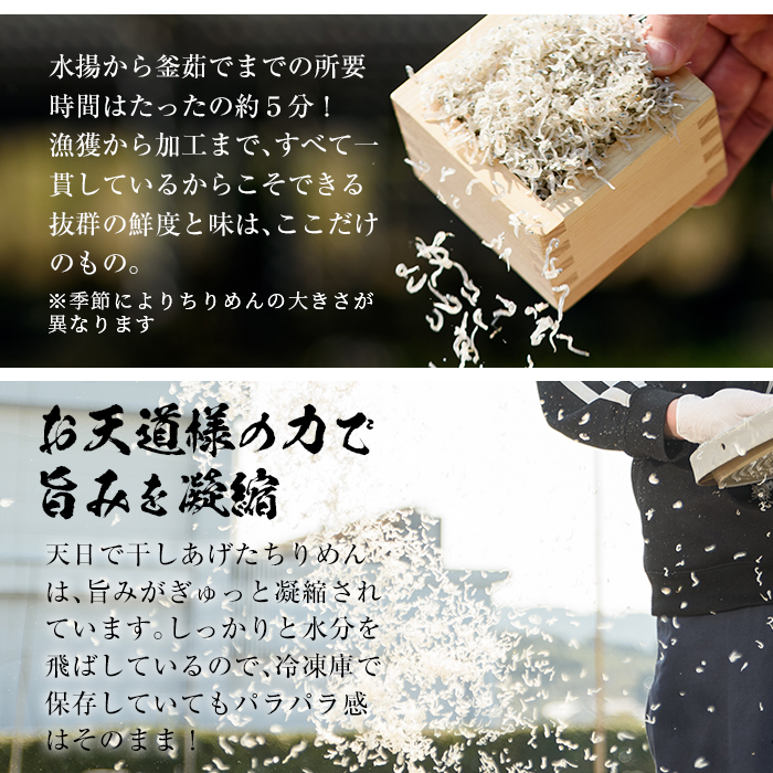 ＜定期便・全5回＞鹿児島県産「網元の天日干しちりめん(計600g・200g×3袋×5回)漁師直送だから新鮮！国産 しらす シラス じゃこ 直送 魚 魚介類 さかな 小魚 カルシウム 定期便 【大久保水産】【00-007-03-TK】