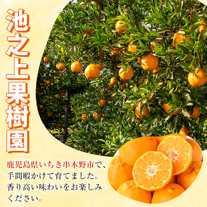 縲願ィウ縺ゅj縲区ア荵倶ク頑棡讓ケ蝨偵ョ繧オ繝ッ繝シ繝昴Γ繝ュ(邏10kg繝サ20ス25邇) 蝗ス逕」 鮖ソ蜈仙ウカ逵檎肇 譫懃黄 譟第ゥ 繧オ繝ッ繝シ繝昴Γ繝ュ 螟ァ讖 譁譌ヲ 繝代シ繝ォ譟 蝨滉ス先枚譌ヲ 豌エ譎カ譁譌ヲ 譎ゥ譟 譌ャ 繝輔Ν繝シ繝 譫懷ョ 蜀ャ蟄」 蟶ク貂ゥ 蟶ク貂ゥ驟埼 險ウ繧「繝ェ 逕」蝨ー逶エ騾 霎イ螳カ逶エ騾 譛滄俣髯仙ョ 謨ー驥城剞螳 繝舌Λ隧ー繧√先ア荵倶ク頑棡讓ケ蝨偵代植-2076H縲